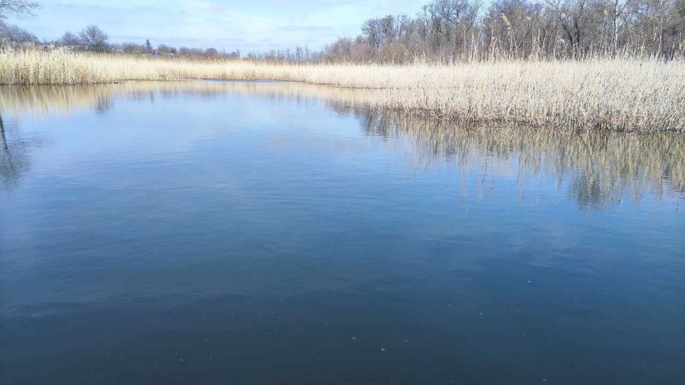 ��������� �������� ���, ��������� ������ ������ ����������� � �������������� �-��, ��������� �������� ���!