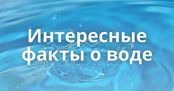 ����� �����: ���������� ����� � ����