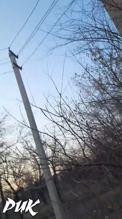 ���� ���������: ����� ����������� ������������