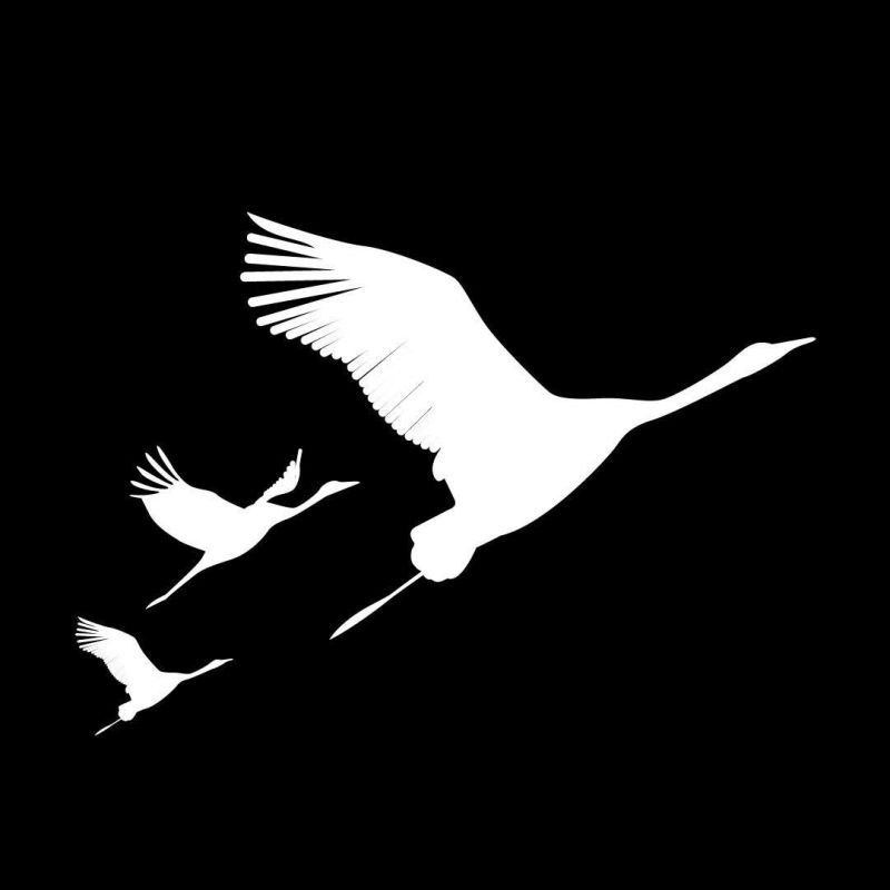 ������� ����������: ������������� � ������������� ����� �������� � ������ � �������� � ������� � ���������� ��������� 22 ����� 2024 ����