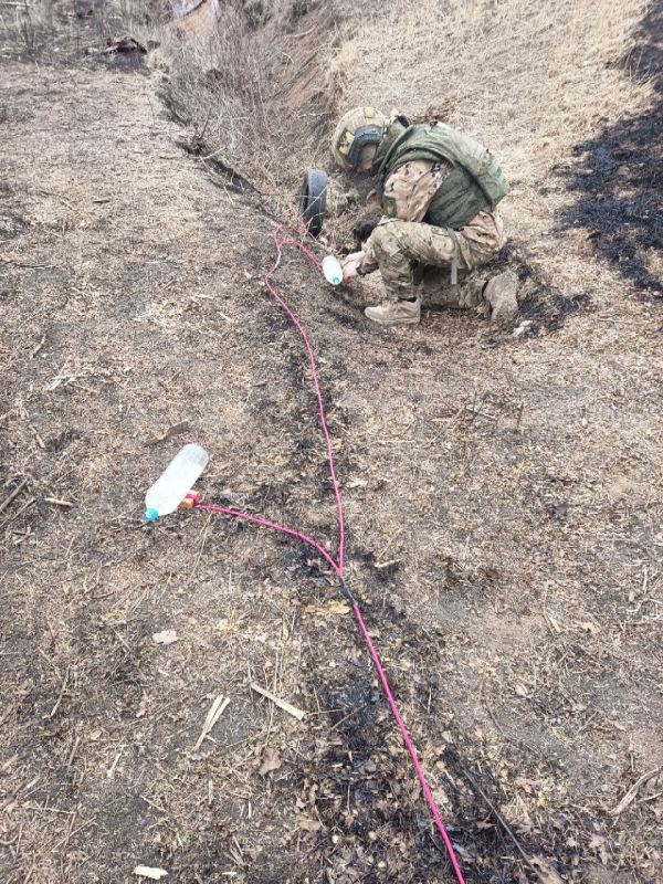 ��� ������ ����� ���������� �������� �� �����