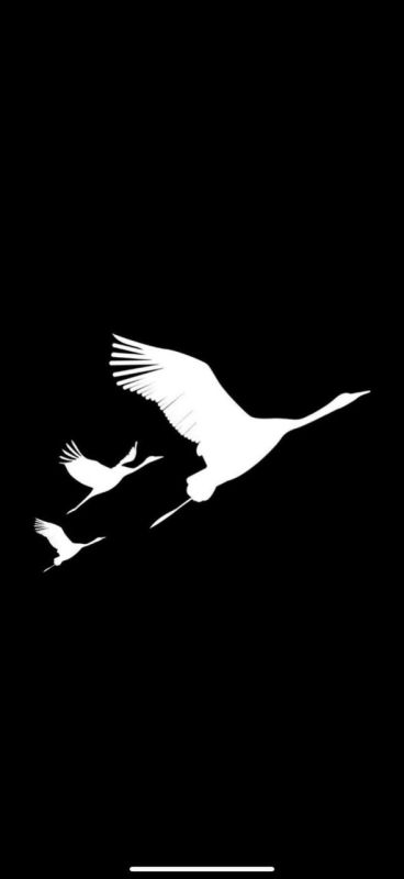 ������ ������: ����� ������ ������� ��������� � ������ � ������� �������� � ������� ���� �����