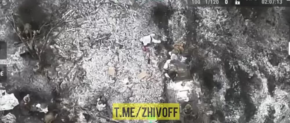 ������� �����: ��������� ���������� 300-� �� �������� �����������