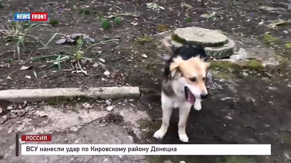 ������� ������: ��� ����� ������� �������������� ���� �� ���������� ������ �������