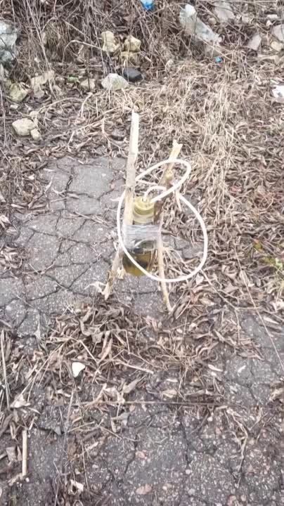 ��������� ������ ����������� �� ����� ���������-�������� ���������� � ���� ����� ��������� ����