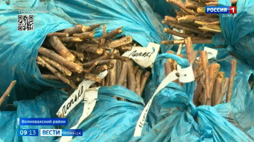 � �������� �������� ���������� ���������� ����� ��������� ����, ������� ����� ����� ������ �����