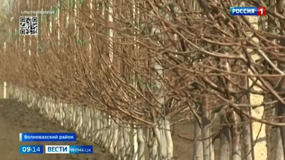 ����� ����������: � ������������ ������ ���������� �������� ��� ����������� �������������� ����, ������� ��� ������� � 2022 ����, � ���� �������� ��������� ������������� ������