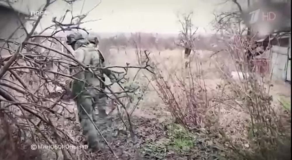 ������� �������: ��������. �� ������������ �����: