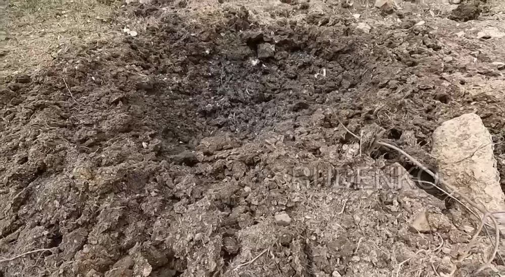 ������ �������: � ���������� ����������������� �������� ������ �������� ����� ������� � �������� ������� ��������� - ����������� � ���������� ���