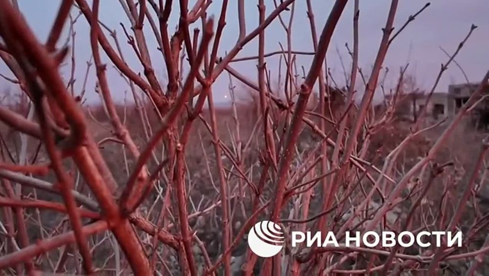 Тульские десантники сорвали ротацию ВСУ, уничтожив группу пехоты противника из ПТРК "Фагот", в районе Раздоловки к северу от Соледара