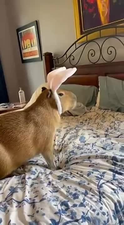 � ������ �����, � ����� ����, ���������!