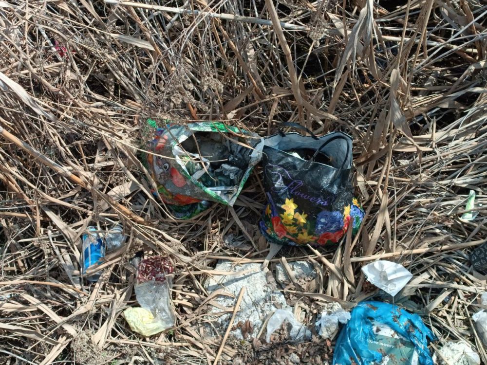 Игорь Лызов: Формирование комфортной городской среды в Амвросиевке