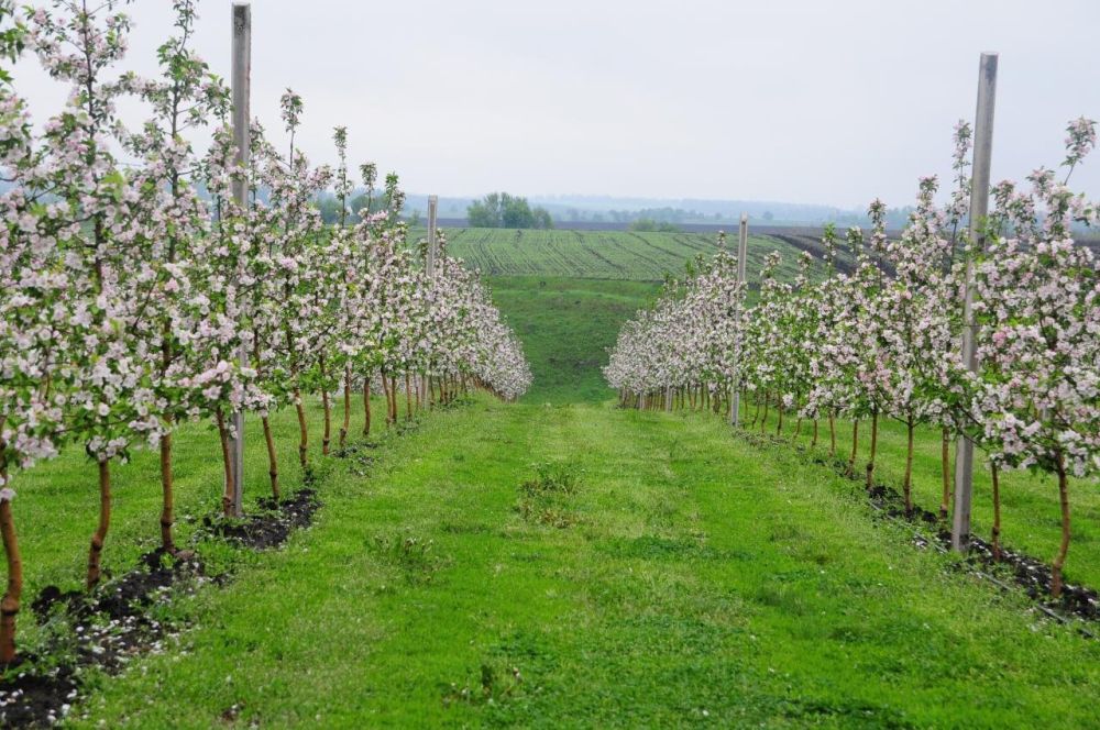 ������ �� �������������� ���� ����� ���������� �� ���������� ����� ����������, ������� �.�. �������� ������������� ��� � �������� ���������������� �������� � �������������� ����� ����������