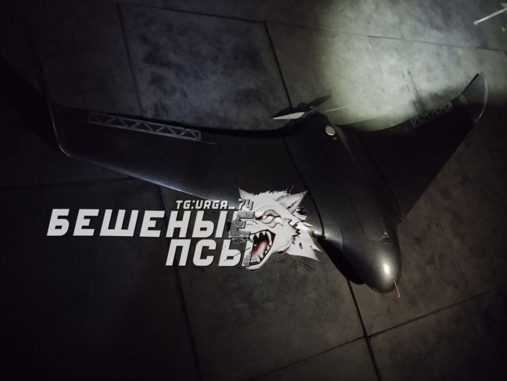 "������� ���" �� ���� �������� ������ �� ���������� �����������