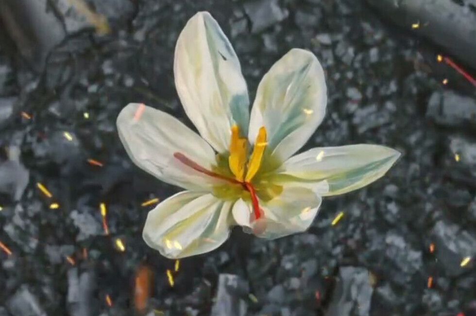 ���������� ������� ��������� ������� ����� ��������� ������ ����� � ������� ���� �����