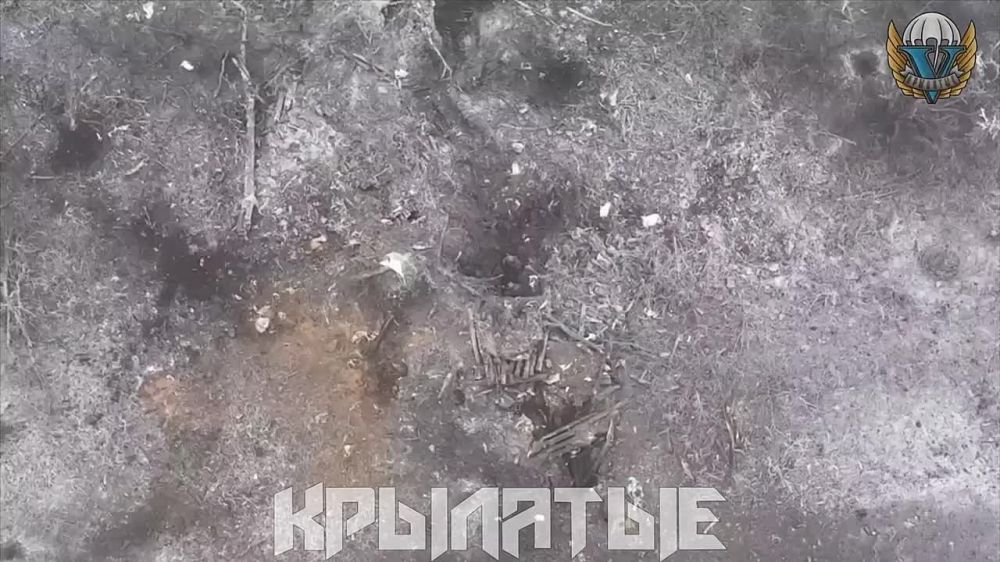��������� �����������. ������, �� ����������? ������� �� ������ ����� ����