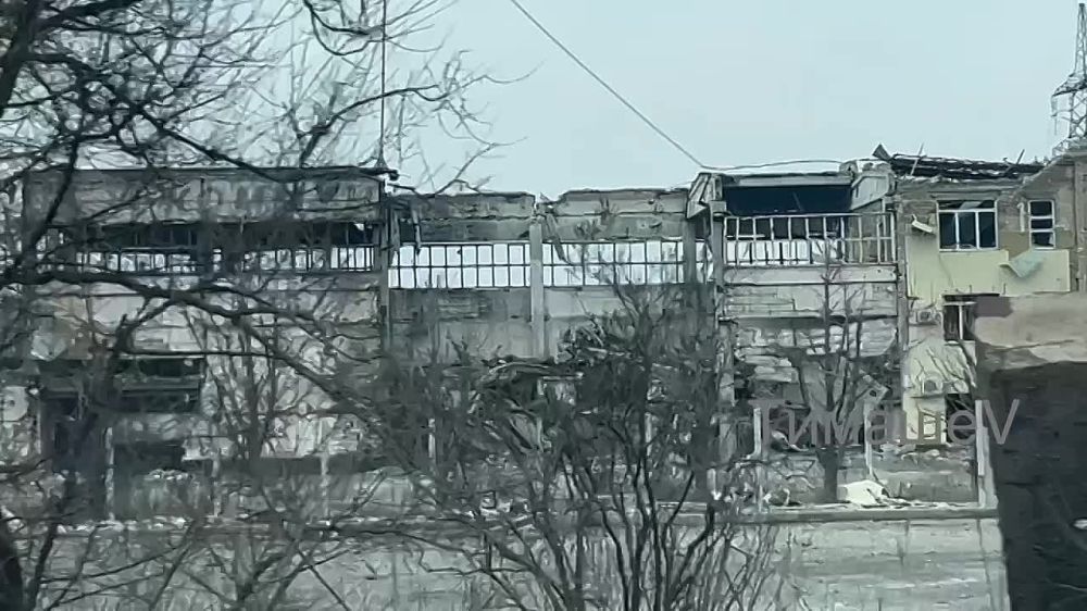 ����� �������: ���������