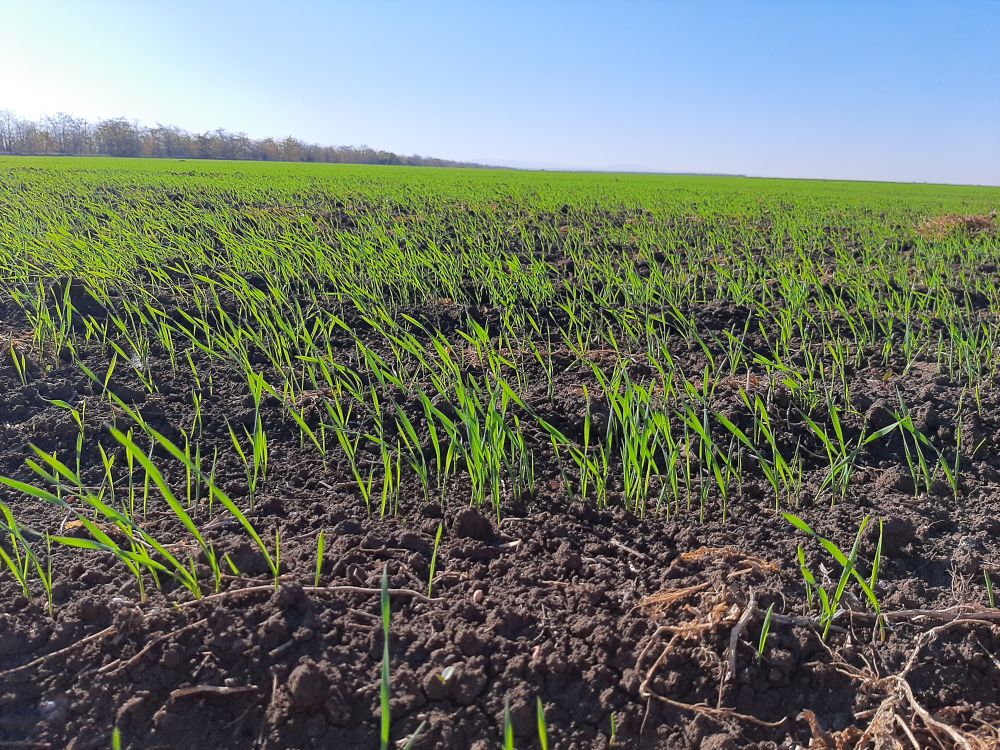 ������� ��������������� ������������ ������ ����������������� � ������ �������� ������������ ���