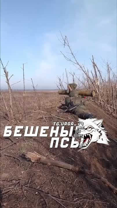 �� ���������� ����������� ���� "������� ����" "���" ��������� ���� ���������� ������� ����� � ������� �� 3 ������ ����� ���� ���������� ���