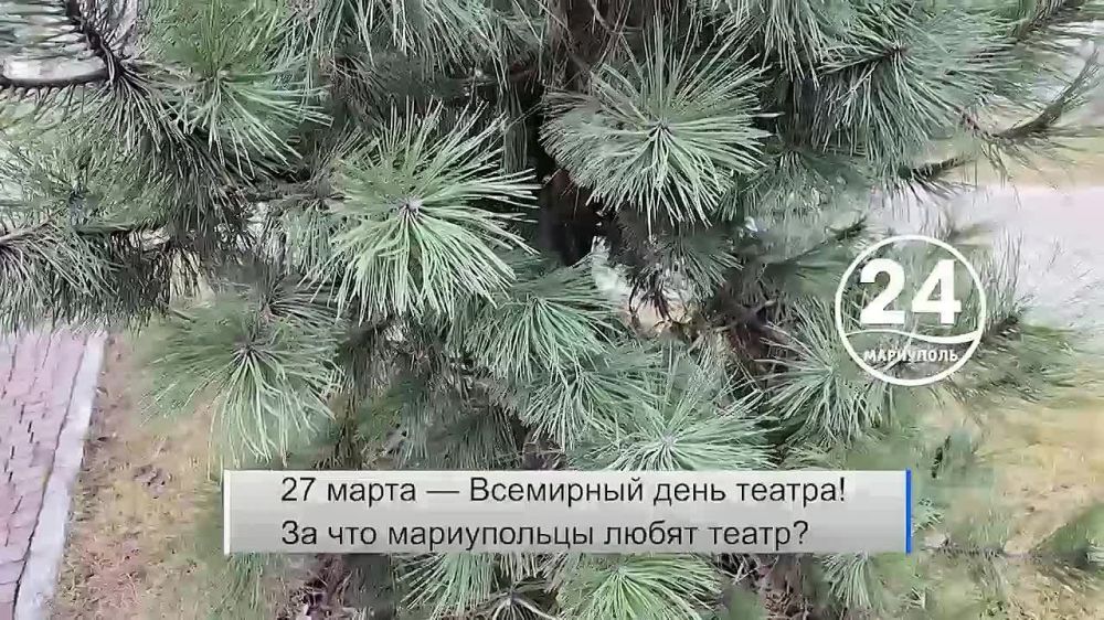 �������� ������ 30.03.2024