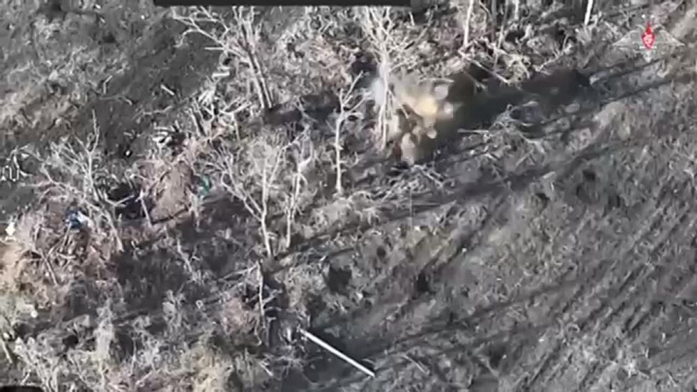 ������� ������: �� ���� ������ ��� �� ������� ����� �� �������� ���������� ����� ����� ������� ����, ����� ��������, ��� ����� ������