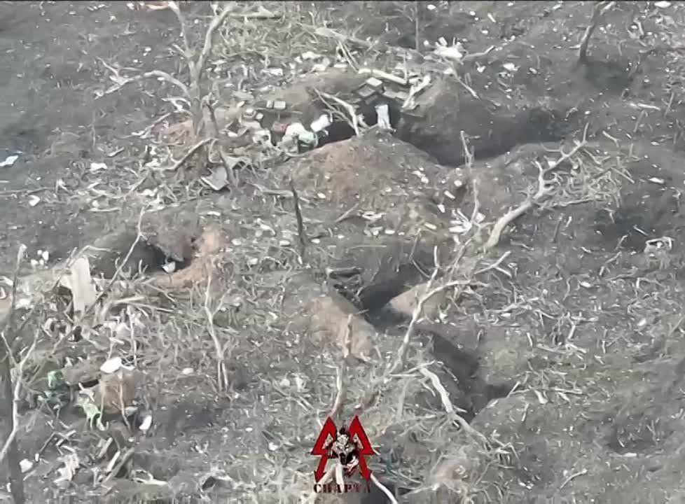 ������ ���������� FPV-������ ��� ������� �� �������� ��� �� ���������� �����������