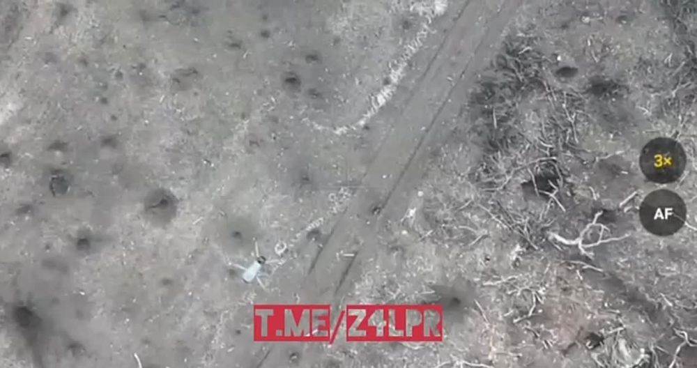 ����� ���������� 4 ������� 2�� �� ���������� �����������
