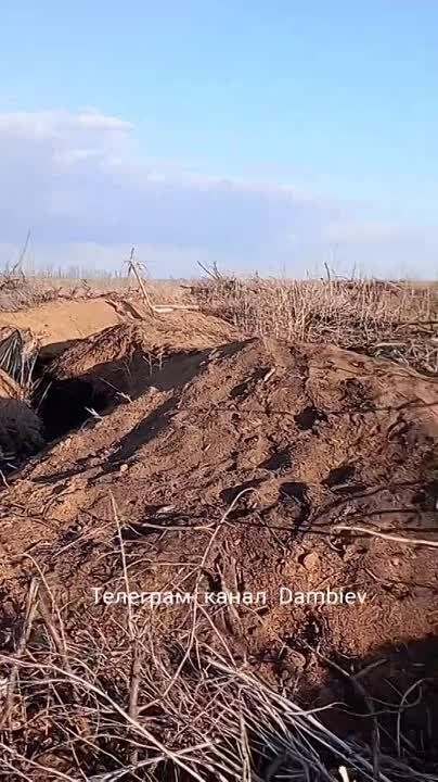 ������ �������: ������������ �� ����������� ����������� ���������� ���������������� M113 ������������� ������������