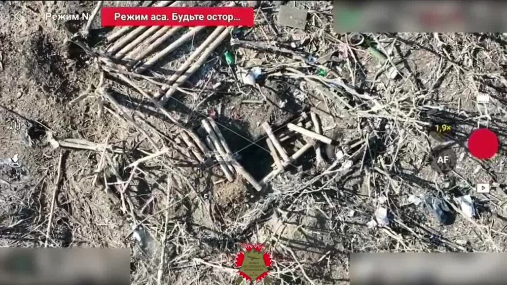 ������ �������: ���������� �����������, ������ �� �����