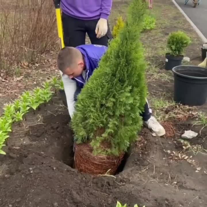 ��������� �#�������� ������������� � ��������������� ���������