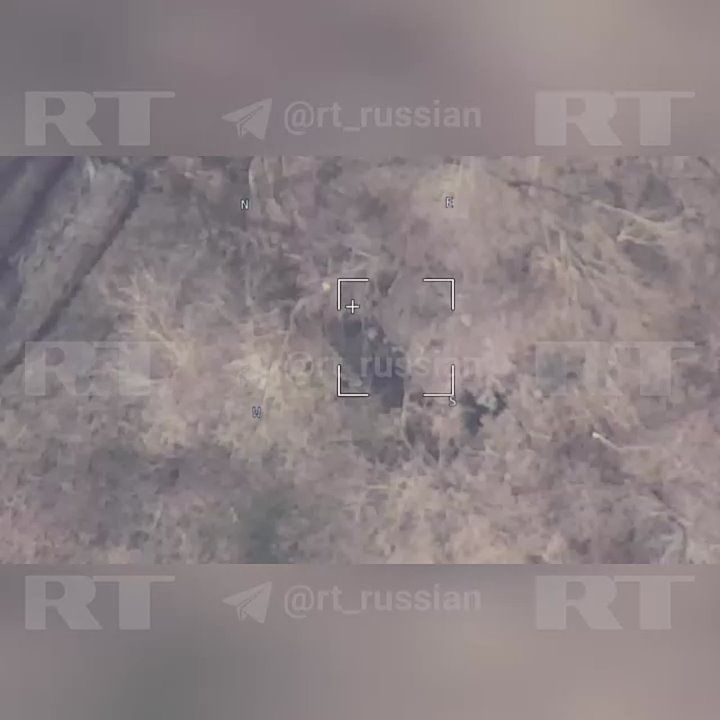 ��������� � ���������. �������� ����������� �������: 305-� ���������� ���������� ���������� ��� �������-10� � ������ ��������������� (���)
