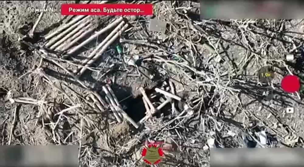 ������� �������: ����������� ������ ���������� �� ���������� �����������