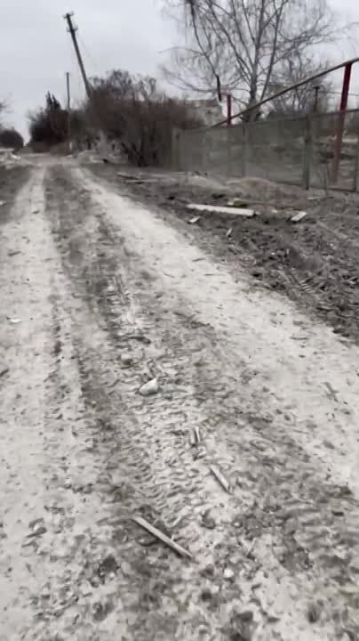 ����� �����: ������� ��� ��������� � ��� ������ � ������