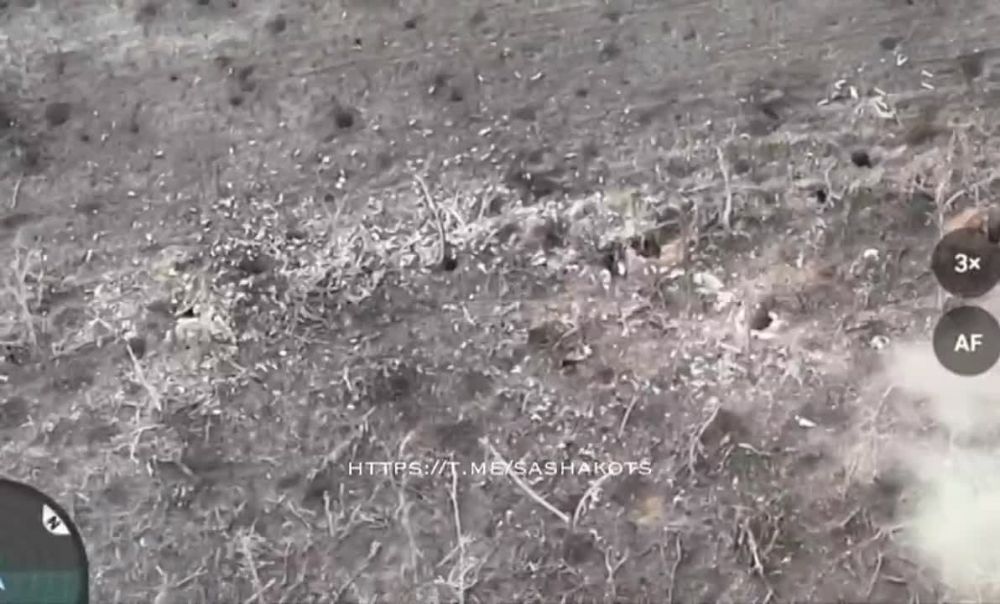 ��������� ���: �������� ���������������-������� ������