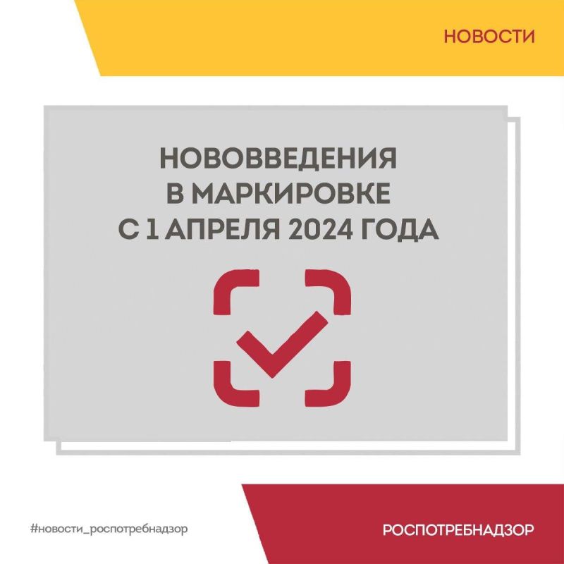 ������������ � ���������� � 1 ������ 2024 ����