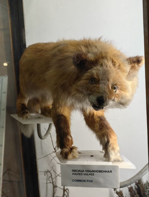 ���� �����: �� �������� ���� �����. ����� � �������� ���� �����-�� ��������� � ������