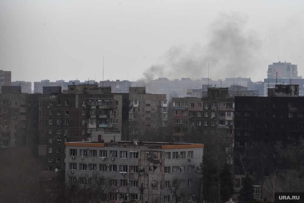 ����������� � ���: ��� ����� ������� �������� � ���������� ��������-�����������