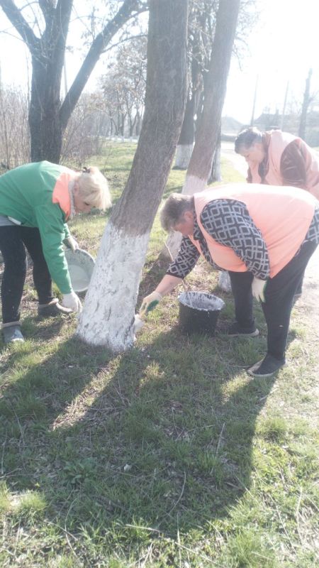 ���� �����������: ������ ������������ ����������� ���� ��������� ������ �� ��������� ������� � ������� �� ���������� �. �������: