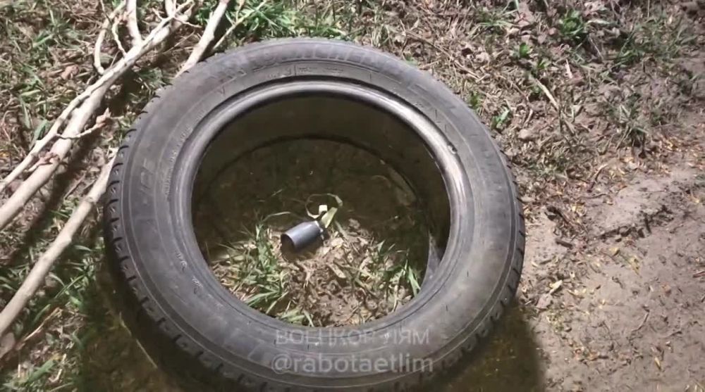 ������ �����: ��� ����� ����� � ������ ���������� �������