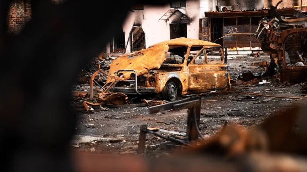 "����, ����� ����!": ����� ��� ������� � ���� �������� ZOV. �������� � ��������