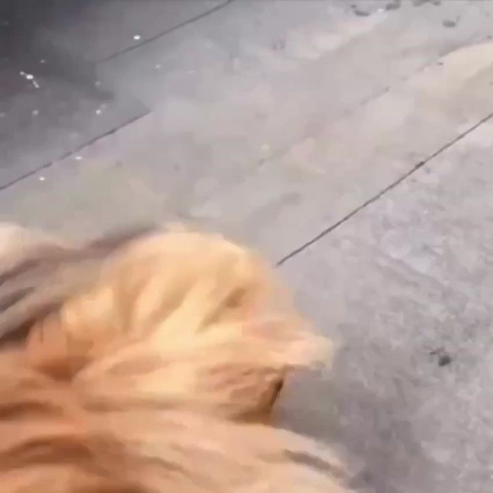 ������ ����� �� 18 �/� � ��� ��������� 4 ������