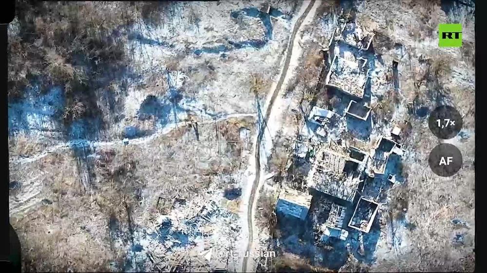 ������������ �����: ���������� ����� ����� ������� ������� ��� � �������� ����� ���� (�����������, ���)