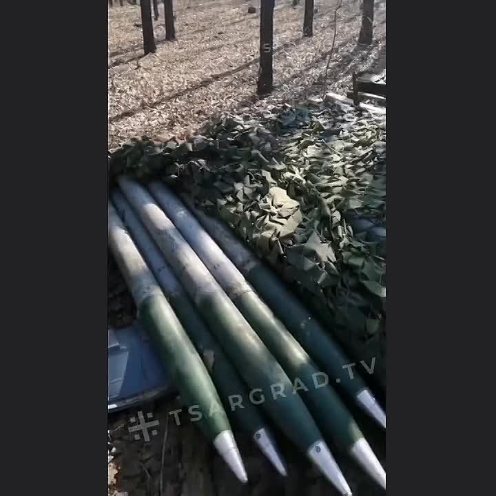 �������, ����! ������ � ��� - �����!