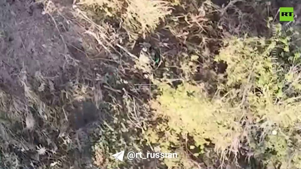 Слабоумие и отвага: на Угледарском направлении вэсэушники хотели провернуть дерзкий, но очень глупый план и попали под удар ВС РФ