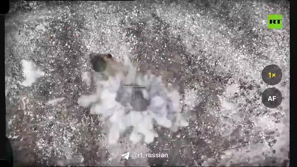 ���������� ����� ����� ������� ������� ��� � �������� ����� ���� (�����������, ���)