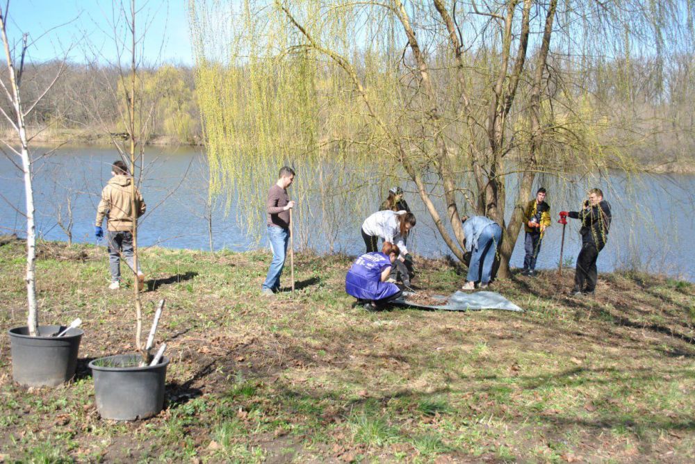 ������� ������: ��������� ��������� � ����������� ������ ������ ������� - ���������