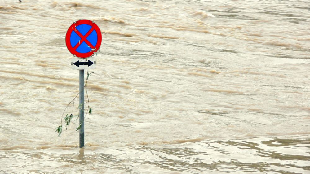 ������ ����� � ����� - ��������? ������ ������� ������������ ��� ������� ������