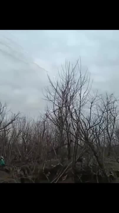 ������ �������: �������, �������� ���� ������� �� �������� ����������