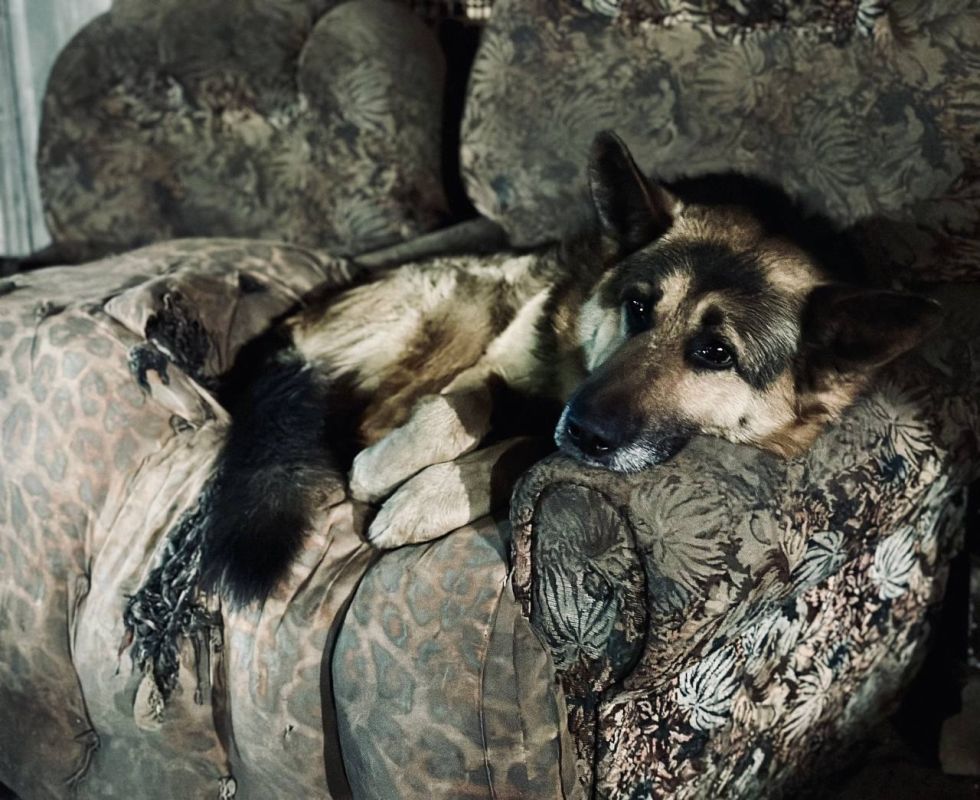 Игорь Гомольский: С такой вот прелестью познакомился в Соледаре