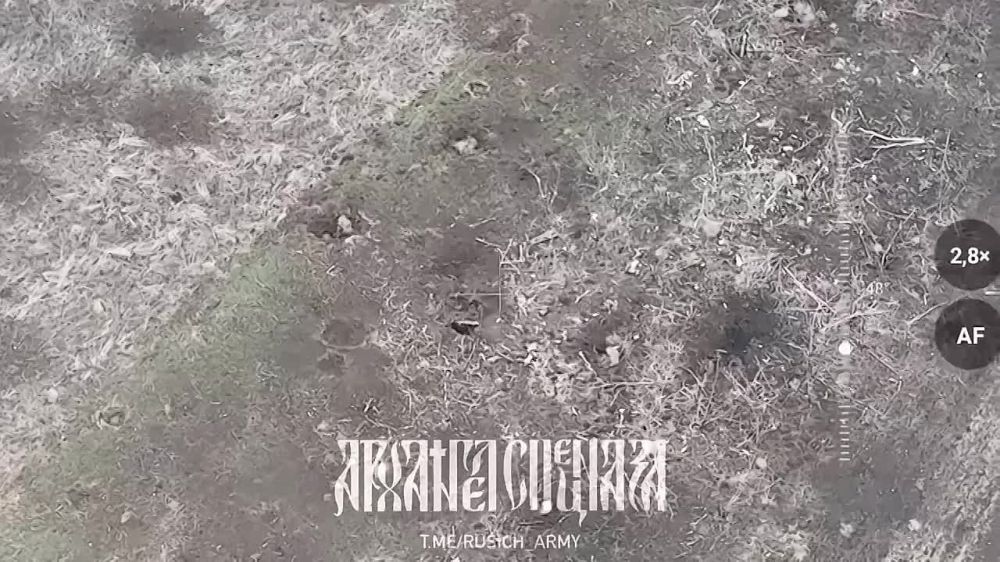 ��������� �������: ����� ������� ��������